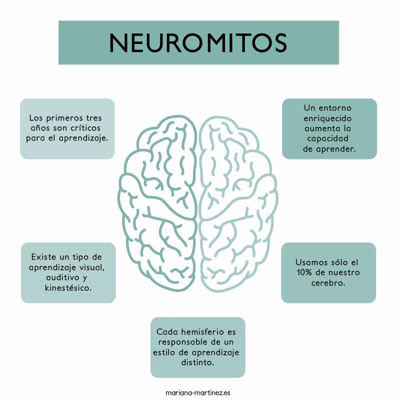 ¿Qué son los neuromitos en el ámbito educativo?