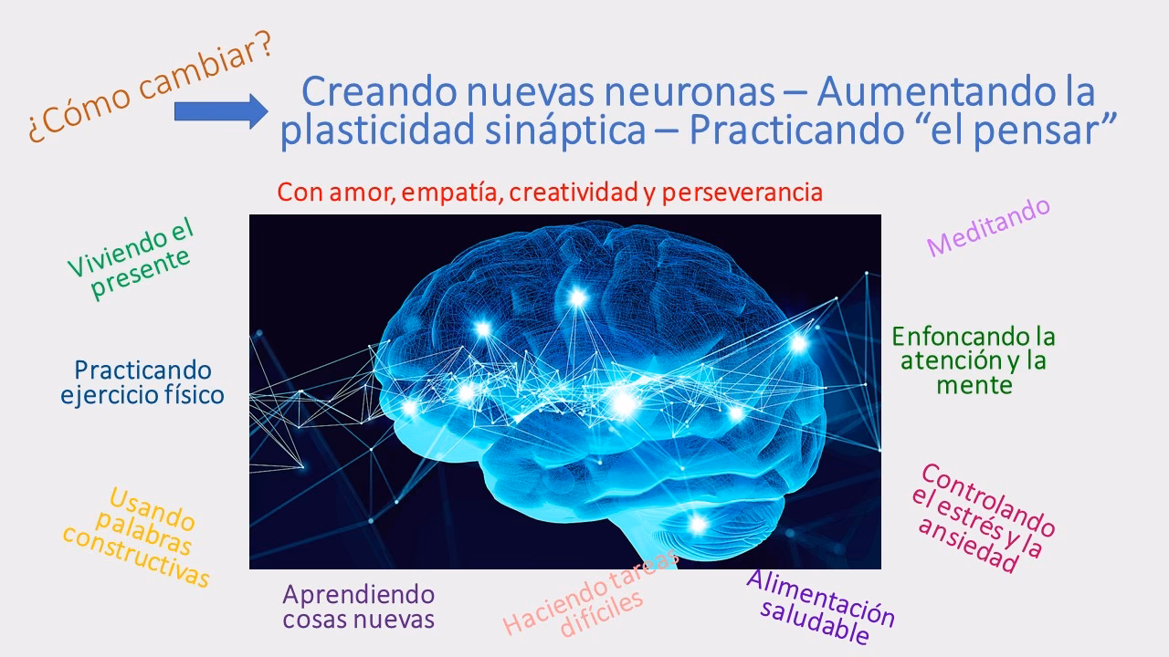 ¿Cómo se activa la neuroplasticidad cerebral?