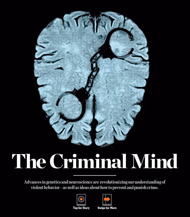 Is there a relationship between brain function and criminality?