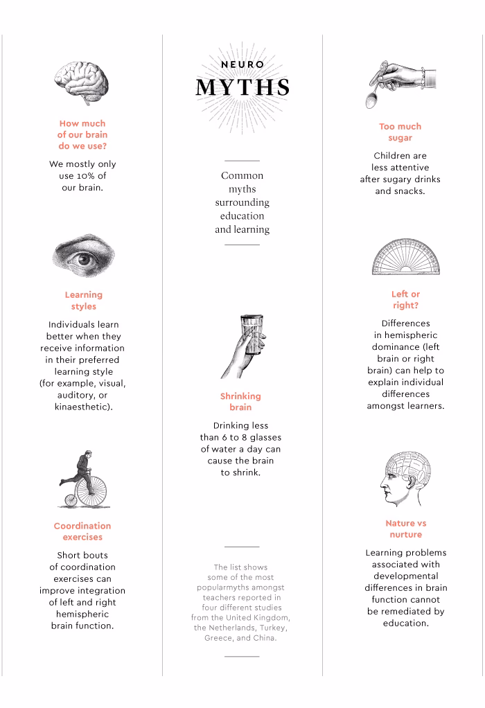 Why is research important in neuroscience?