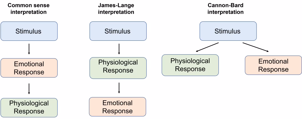 What are the theories of emotion in neuroscience?
