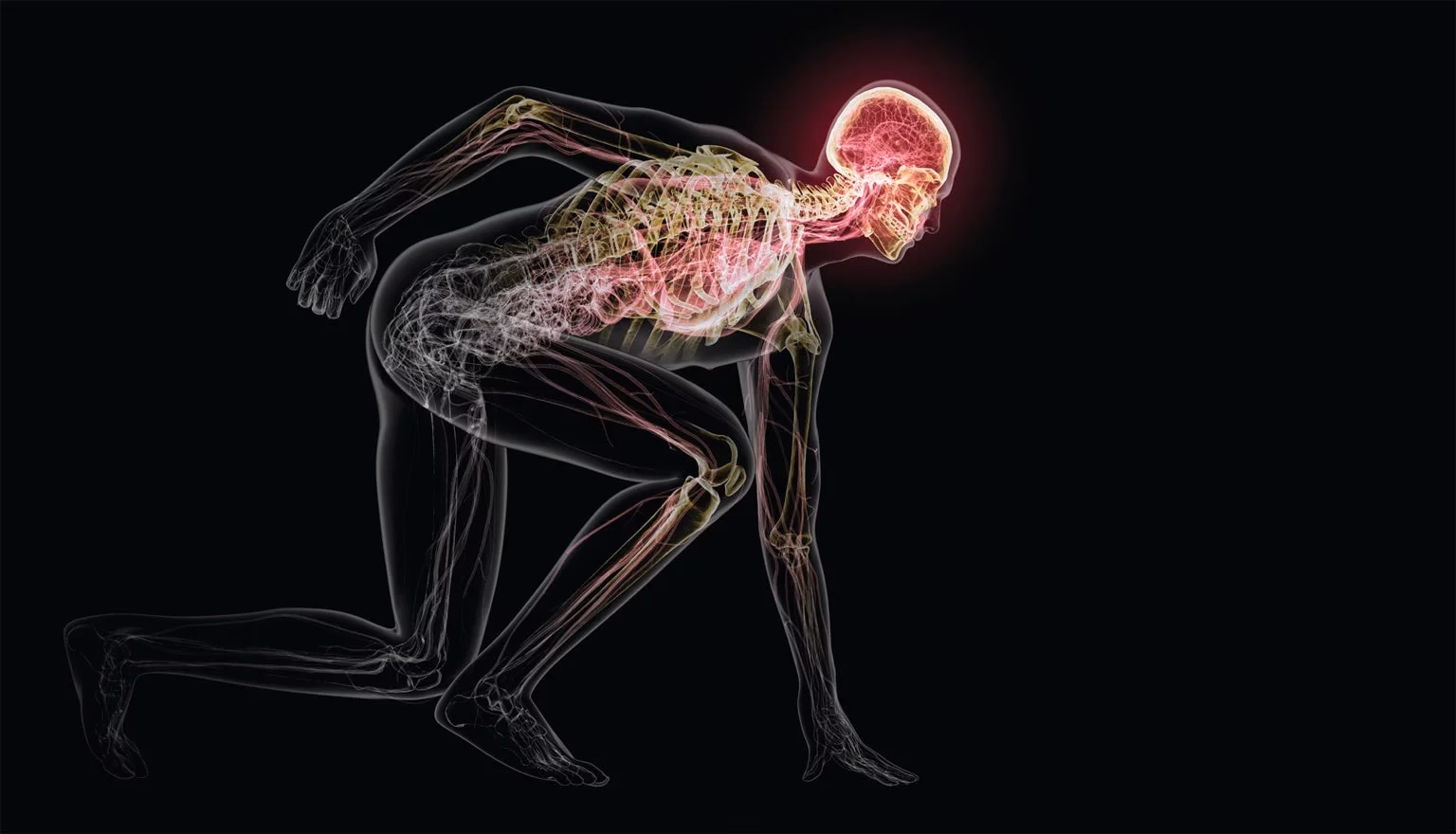 What are the neuropsychological effects of exercise?