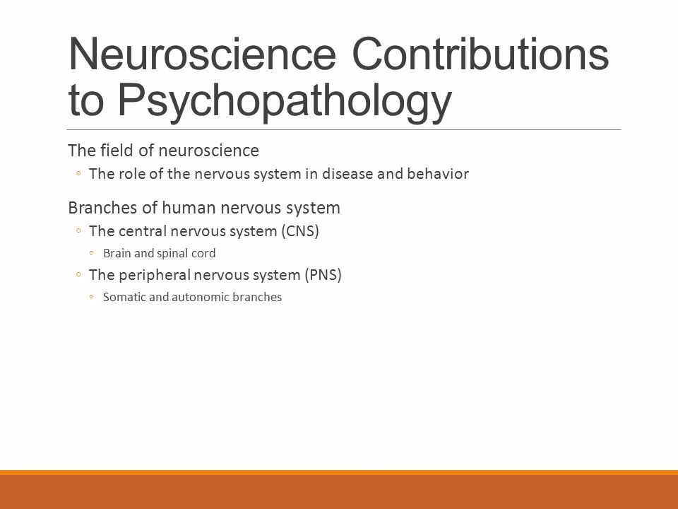 How is the anatomy of the brain important to a discussion of psychopathology?