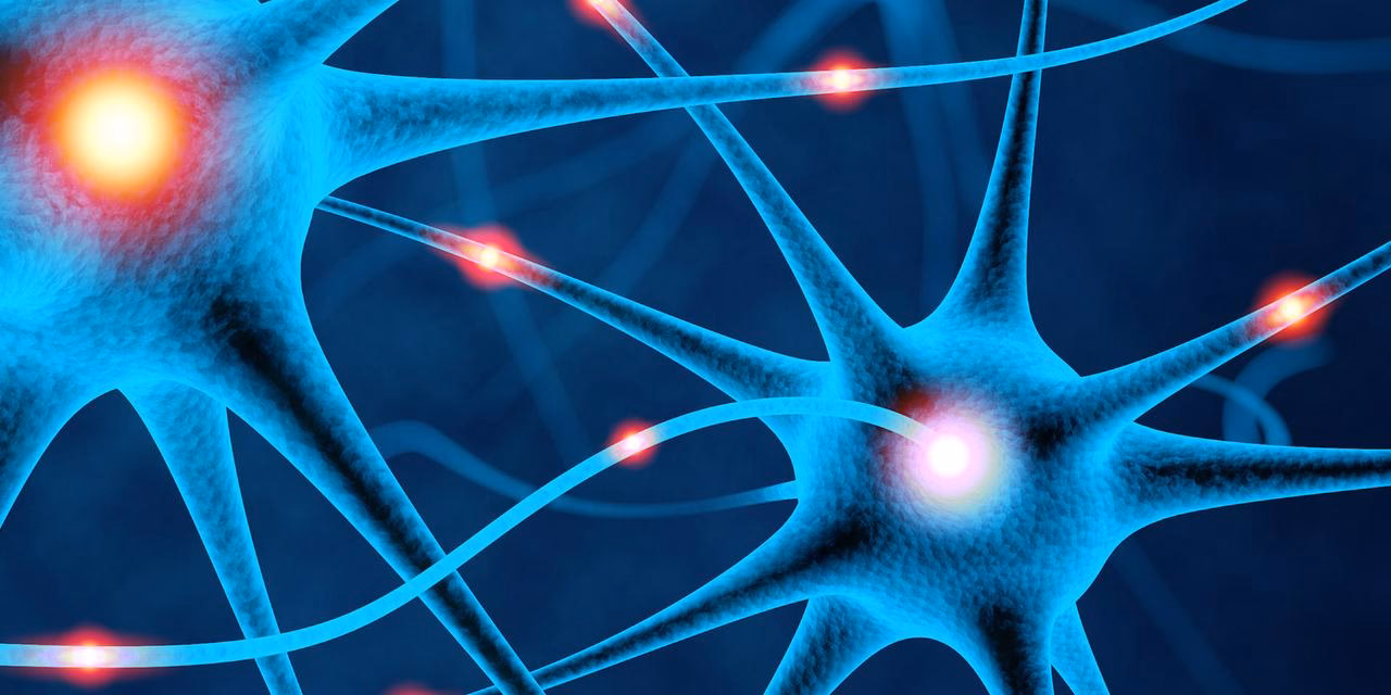 What is the difference between neurology and physiology?