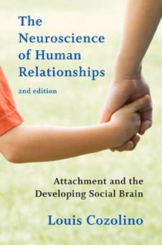 What is the connection between neuroscience and attachment relationships?
