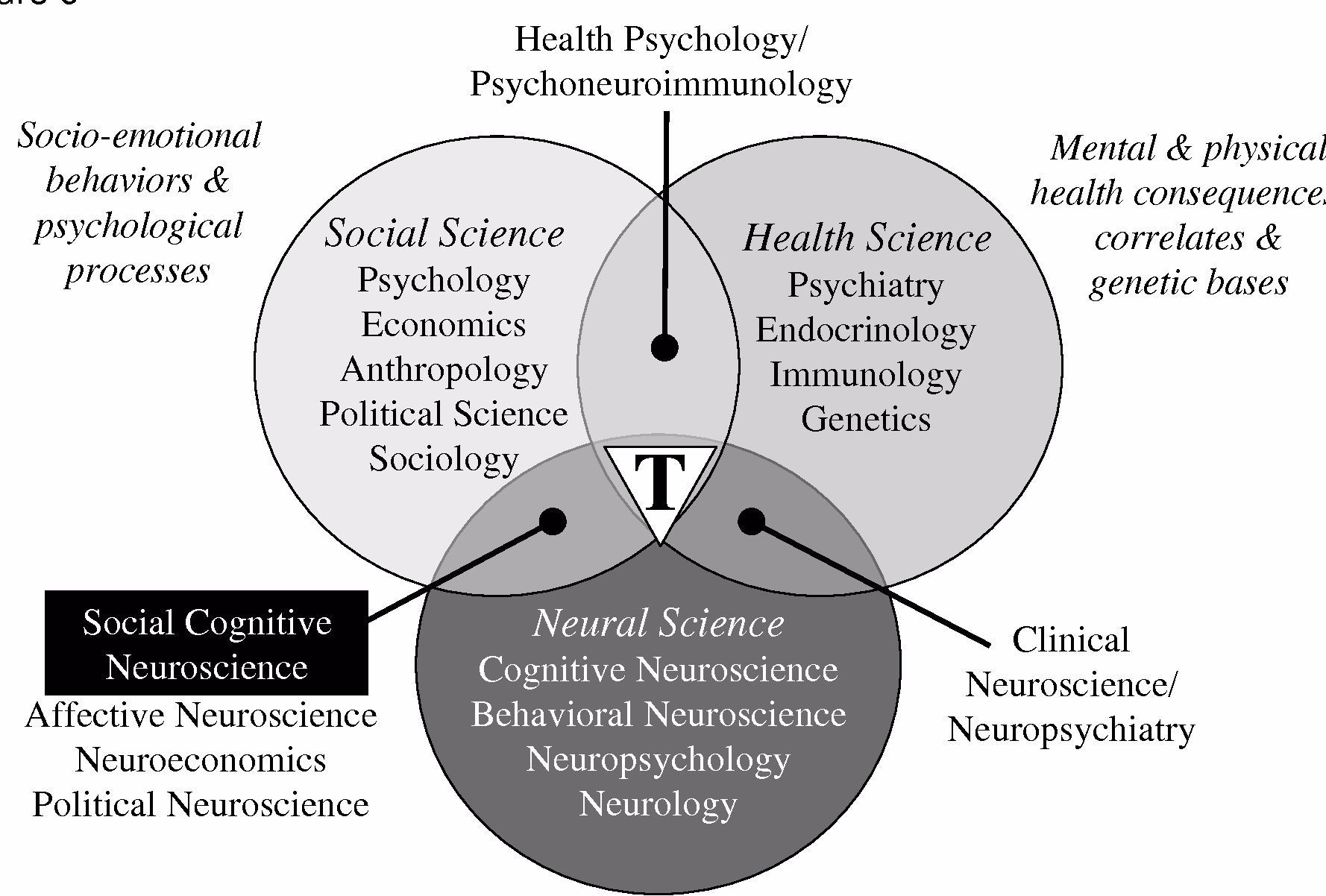 Is sociology related to neuroscience?
