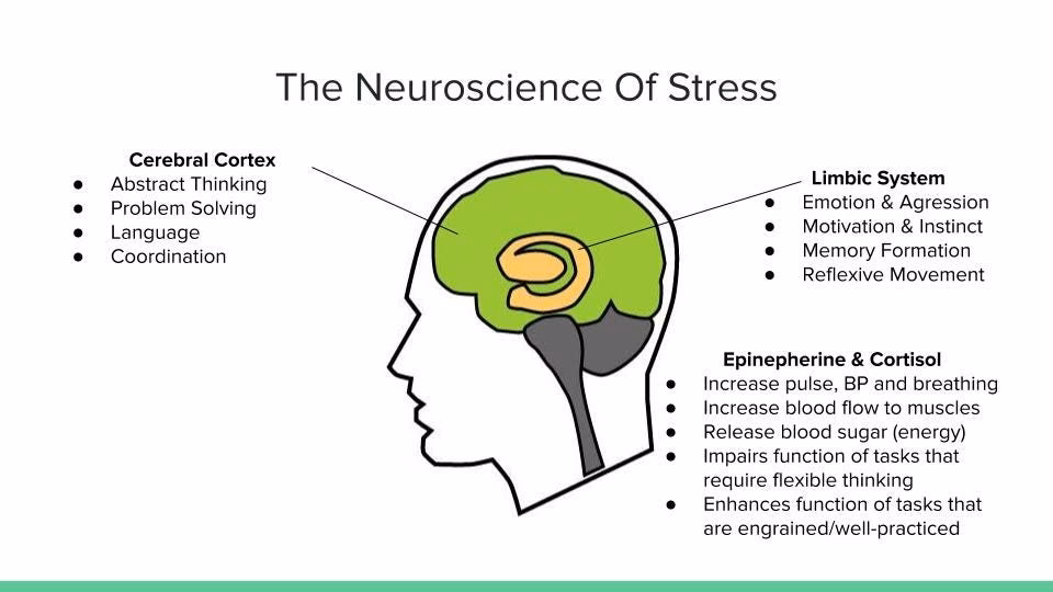 How to reset your body after chronic stress?