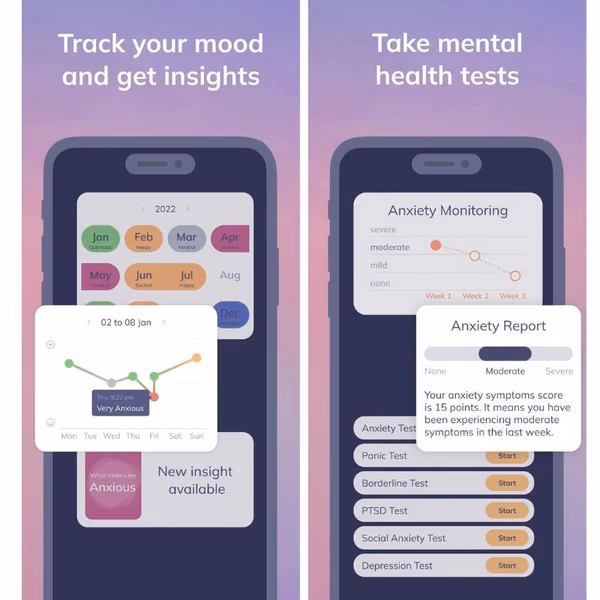How much is MoodKit app?