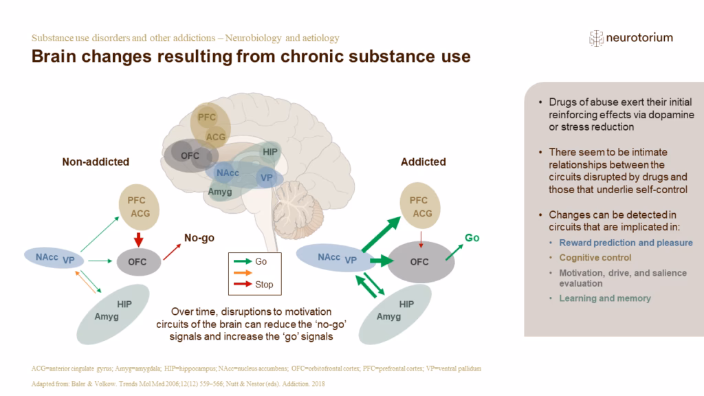 What is the neuro pathway of addiction?