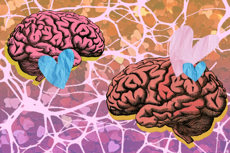 How is love explained by neuroscience?