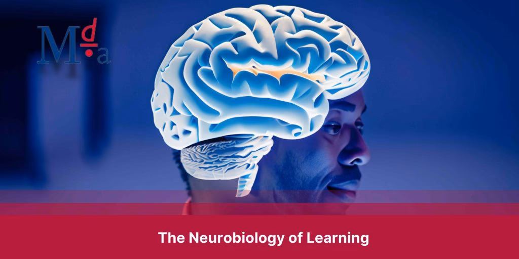 How to train your brain 🧠?