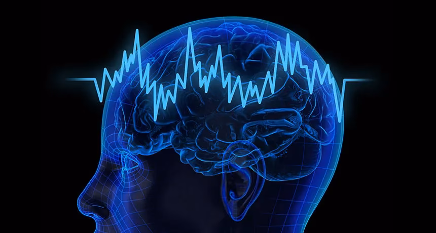 What brain waves are high IQ?
