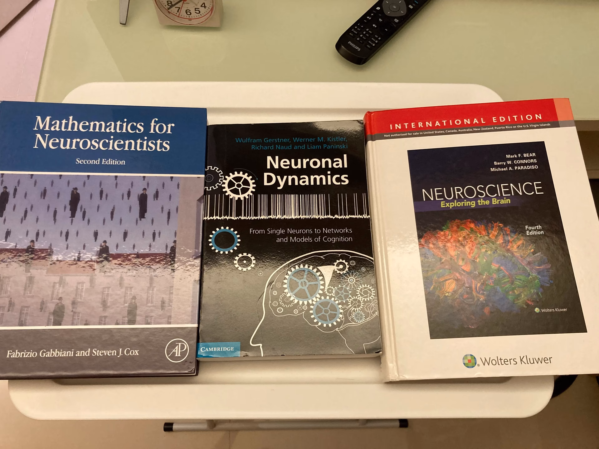 脑科学属于哪个学科？
