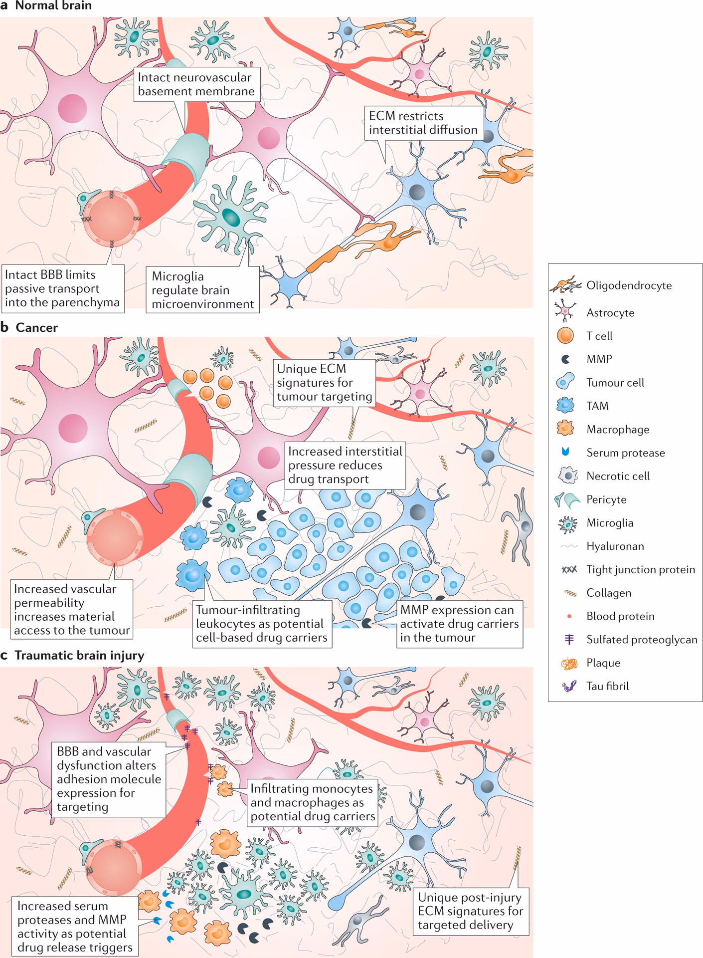 What are examples of CNS drugs?