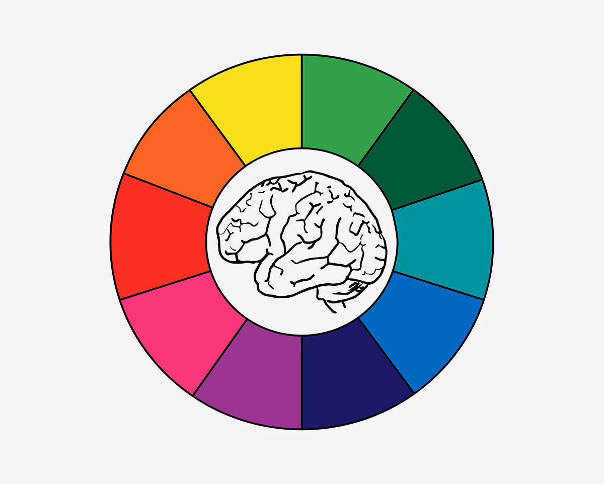 What is color vision in neuroscience?