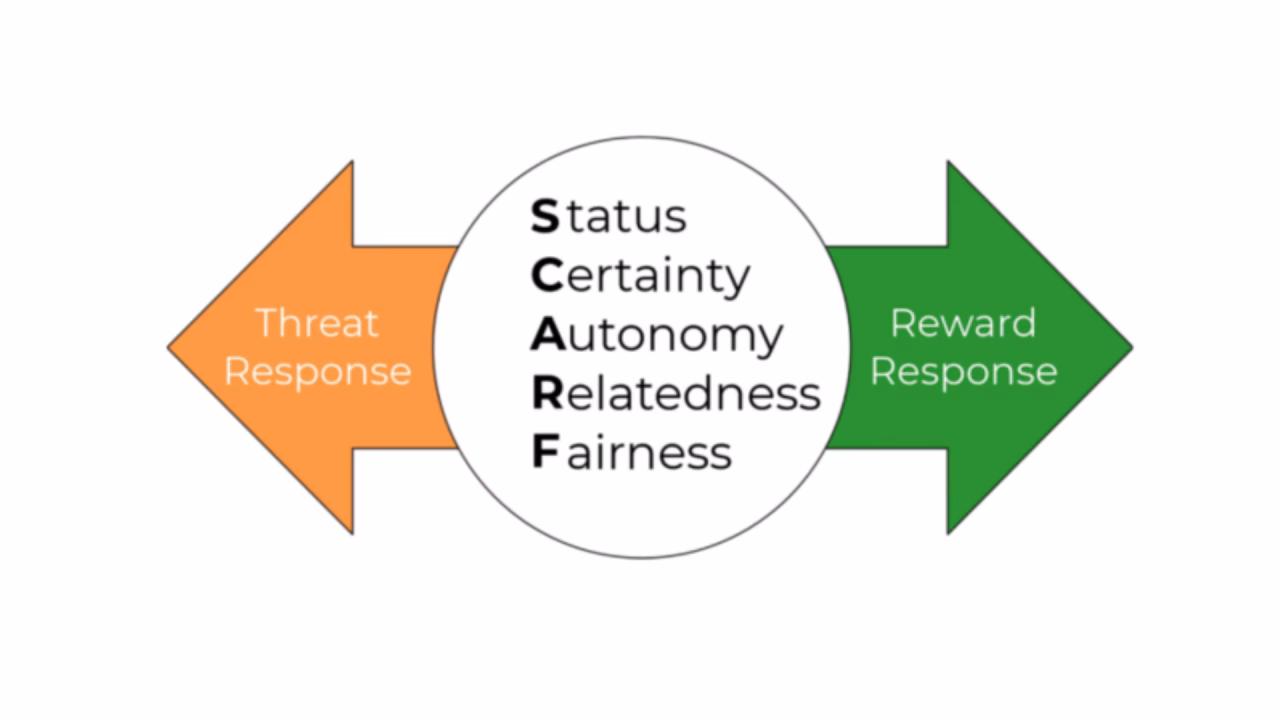 What is feedback inhibition in neuroscience?