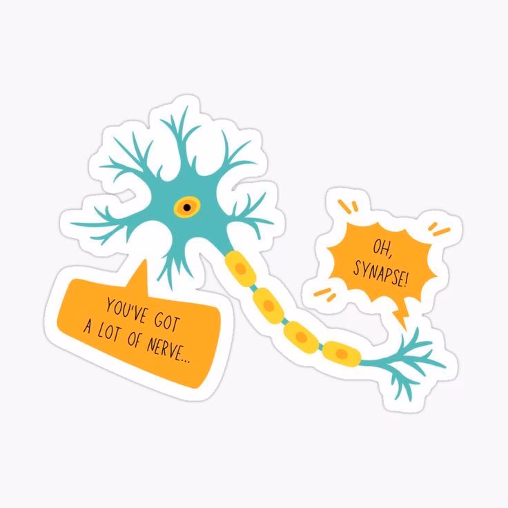 What is a funny name for the brain?