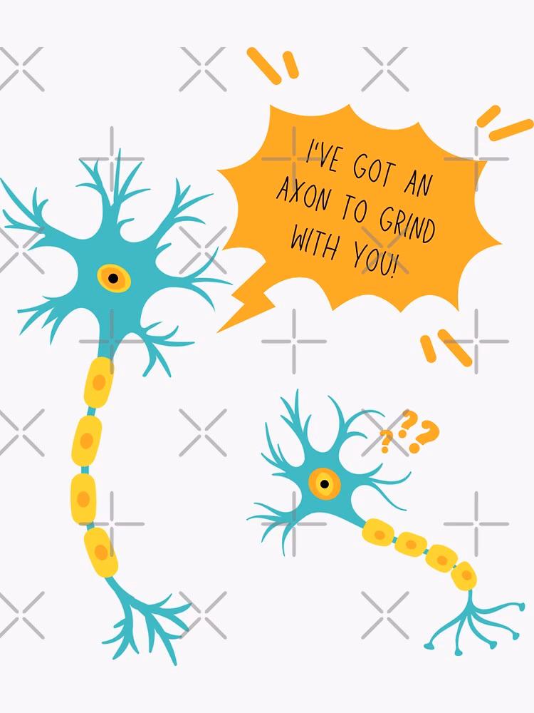 What is the funniest part of the brain?