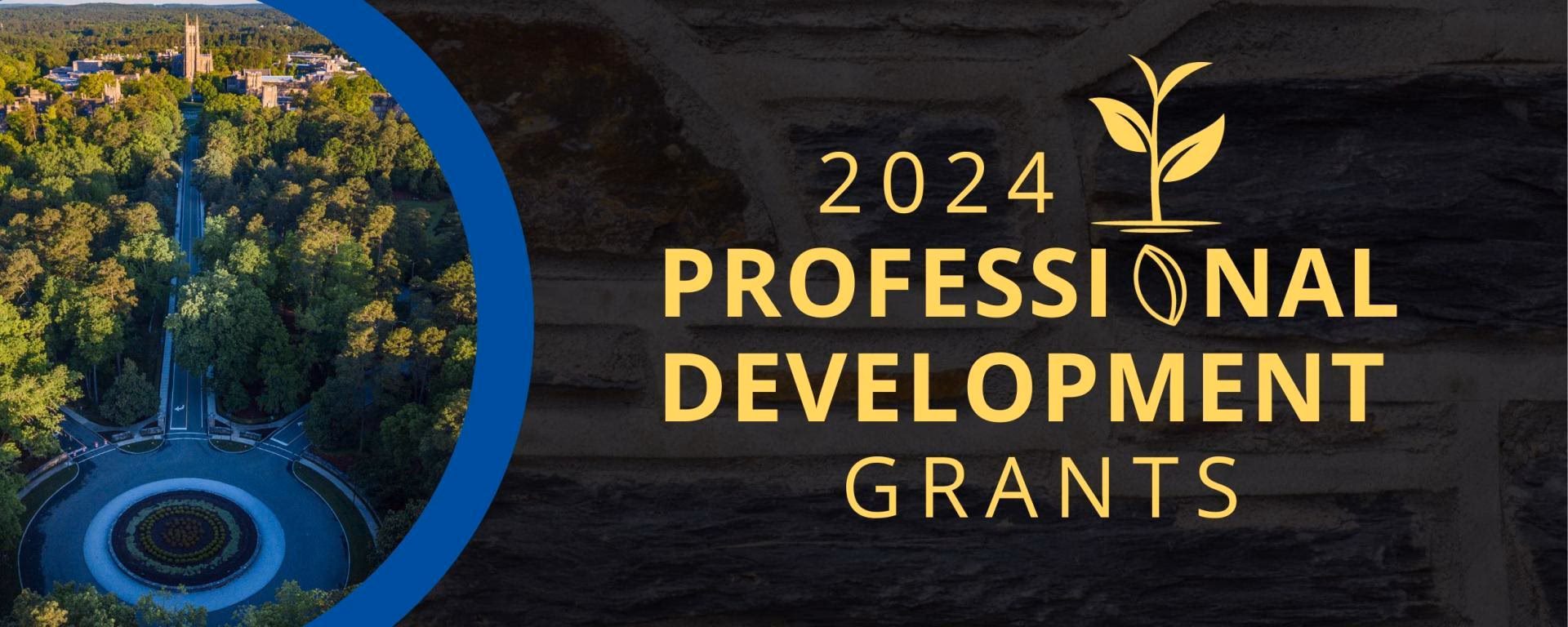 Can graduate students get any grants?