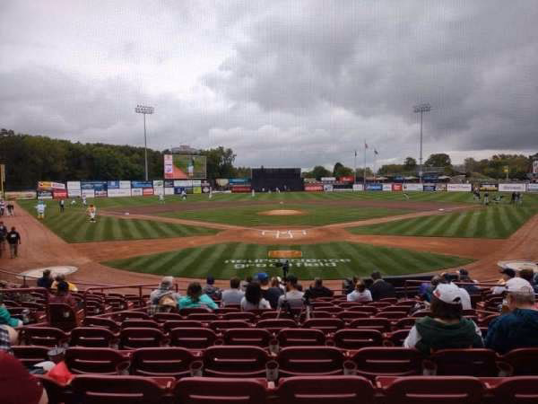 What are the alternate names for Timber Rattlers?