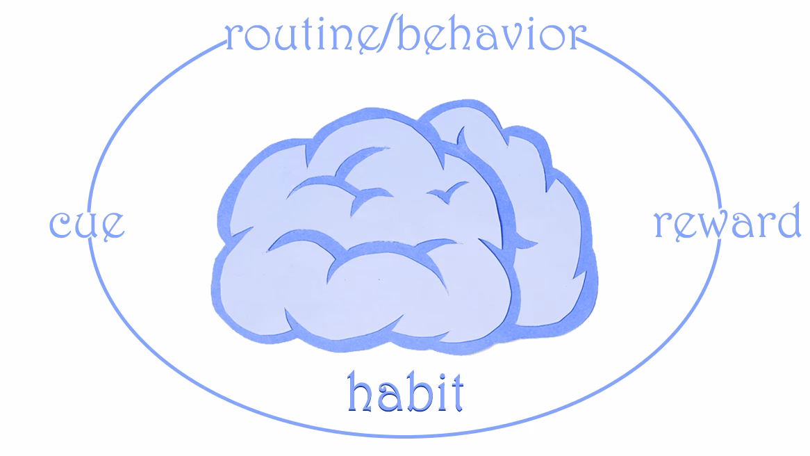 How to build a habit in neuroscience?