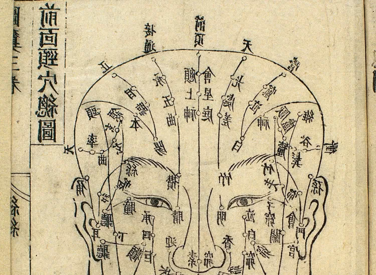 What is the best field to study in China?