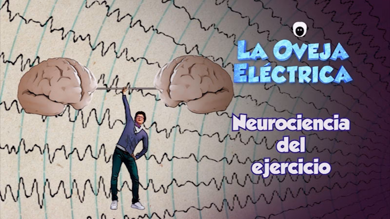 What is the Latin word for neuroscience?