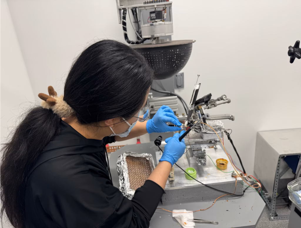 What does a laboratory lab assistant do?