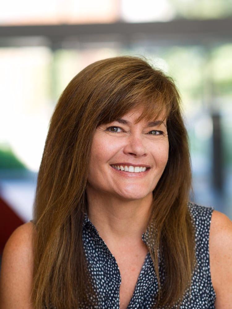 What are the top 3 majors at Princeton University?