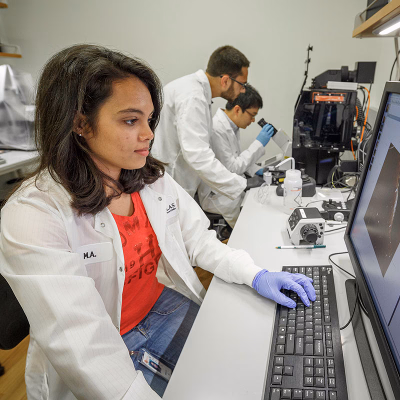 Does UTD have a neuroscience major?