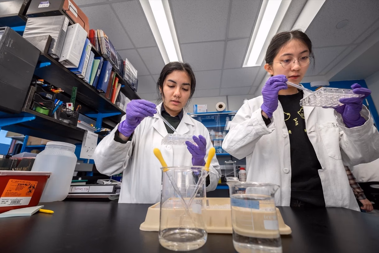 Does Wellesley have a neuroscience major?