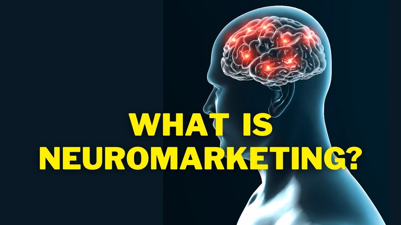 What degree do you need for neuromarketing?
