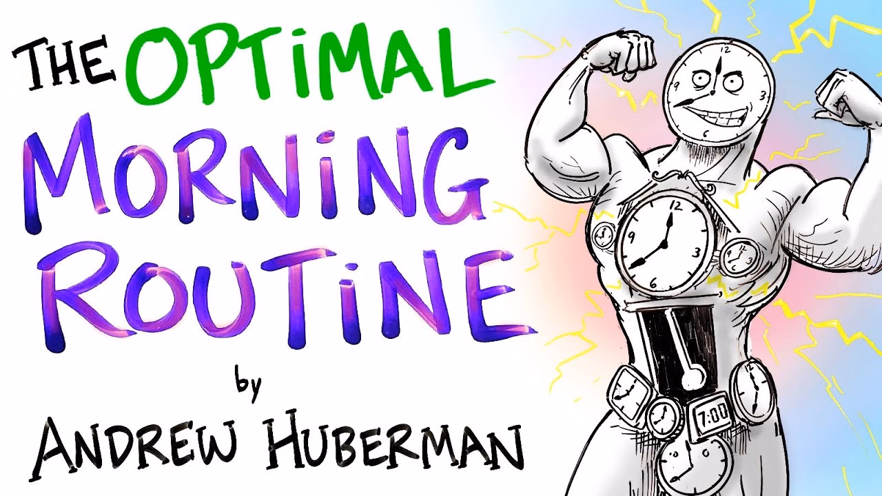 What is Huberman's morning routine?