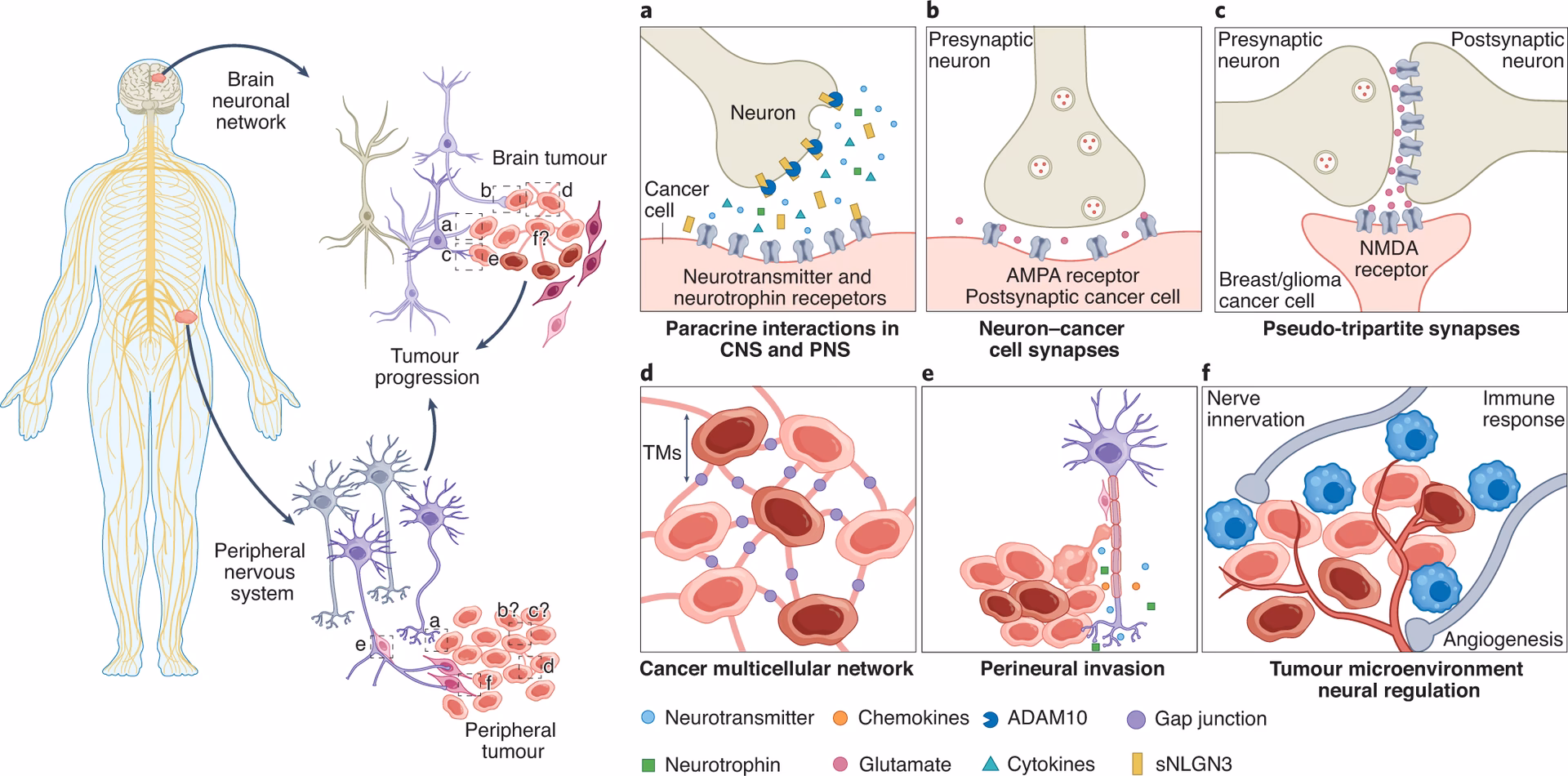 How to increase your chances of beating cancer?