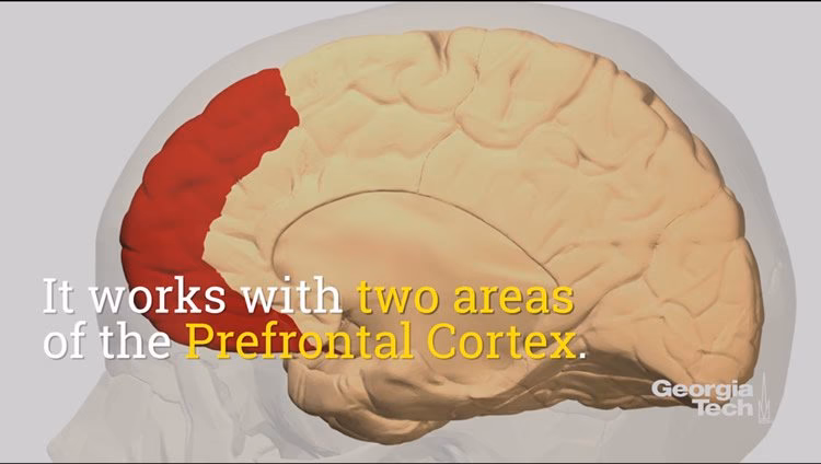 What are the 4 sources of confidence?