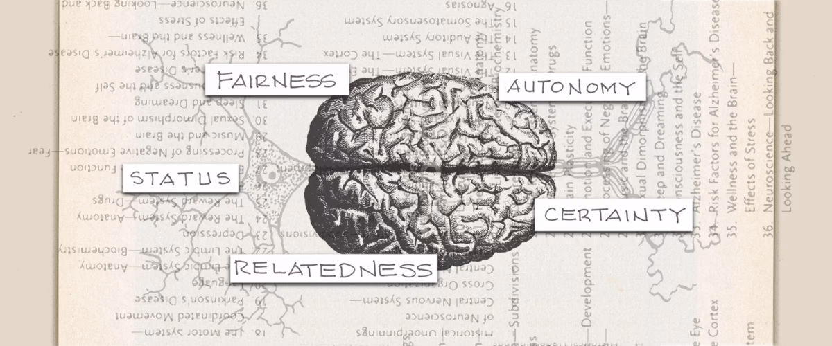 What is the neuroscience of employee engagement?
