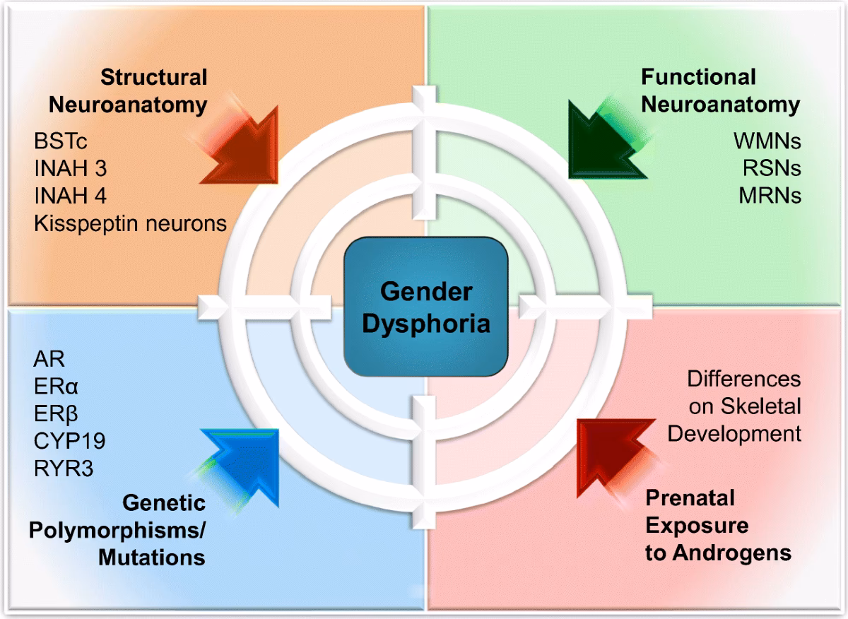 What is the psychological cause of gender dysphoria?