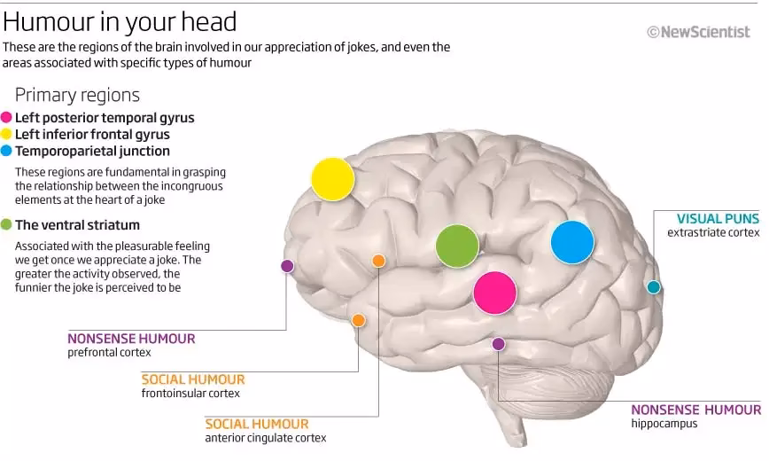 What hormone is triggered by laughter?