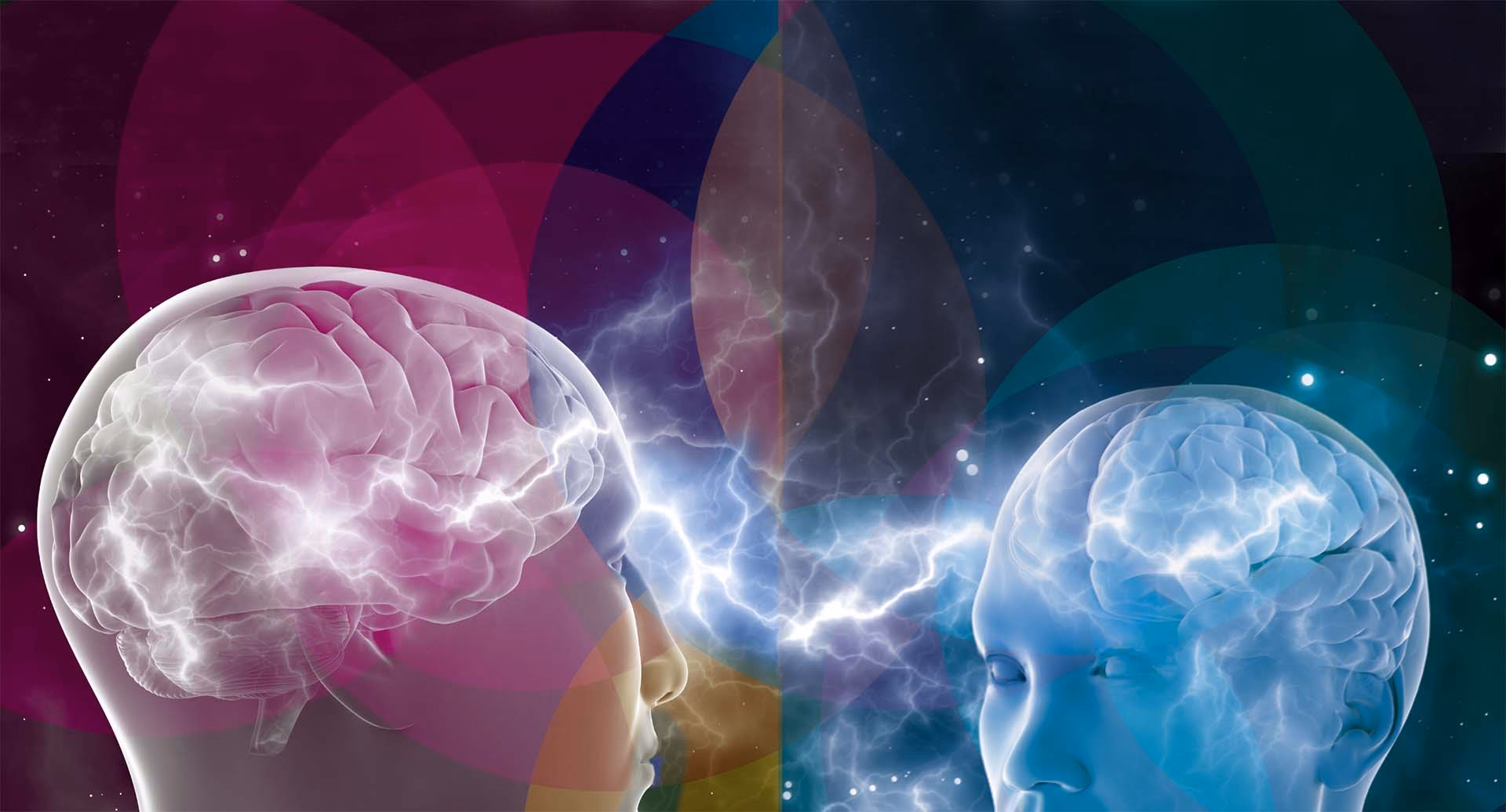 What is the identity theory in neuroscience?