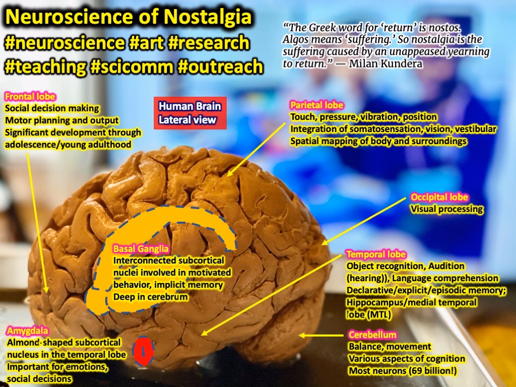 What is the root cause of nostalgia?