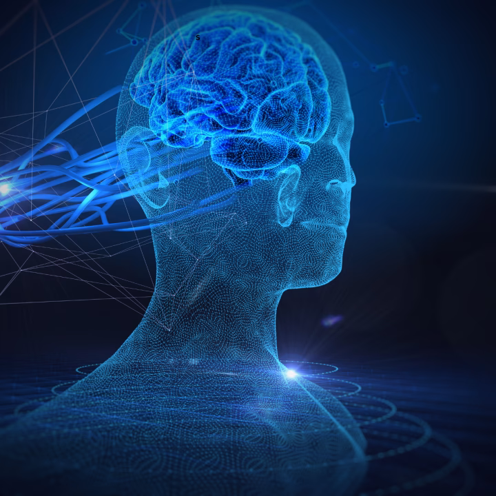 What part of the brain controls persuasion?