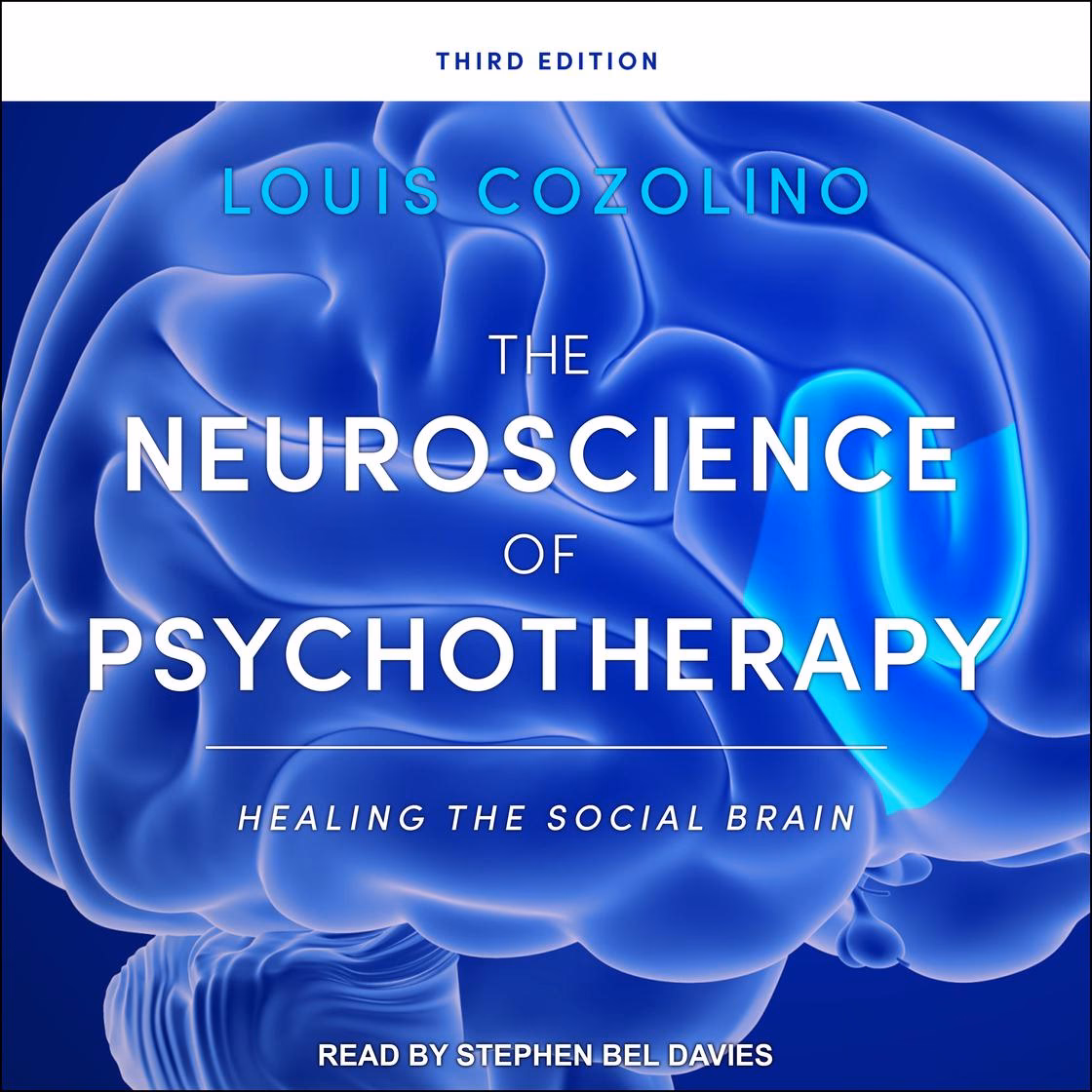 How does psychotherapy work in the brain?