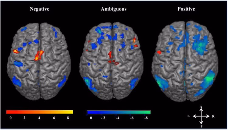 What is the root emotion of sadness?