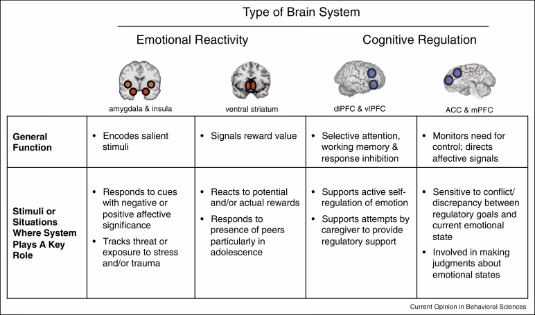 What are the 5 elements of self-regulation?
