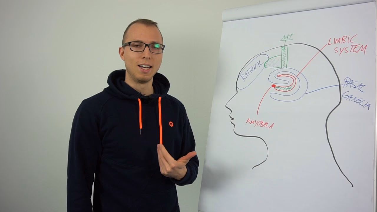 What is the neuroscience behind visualization?