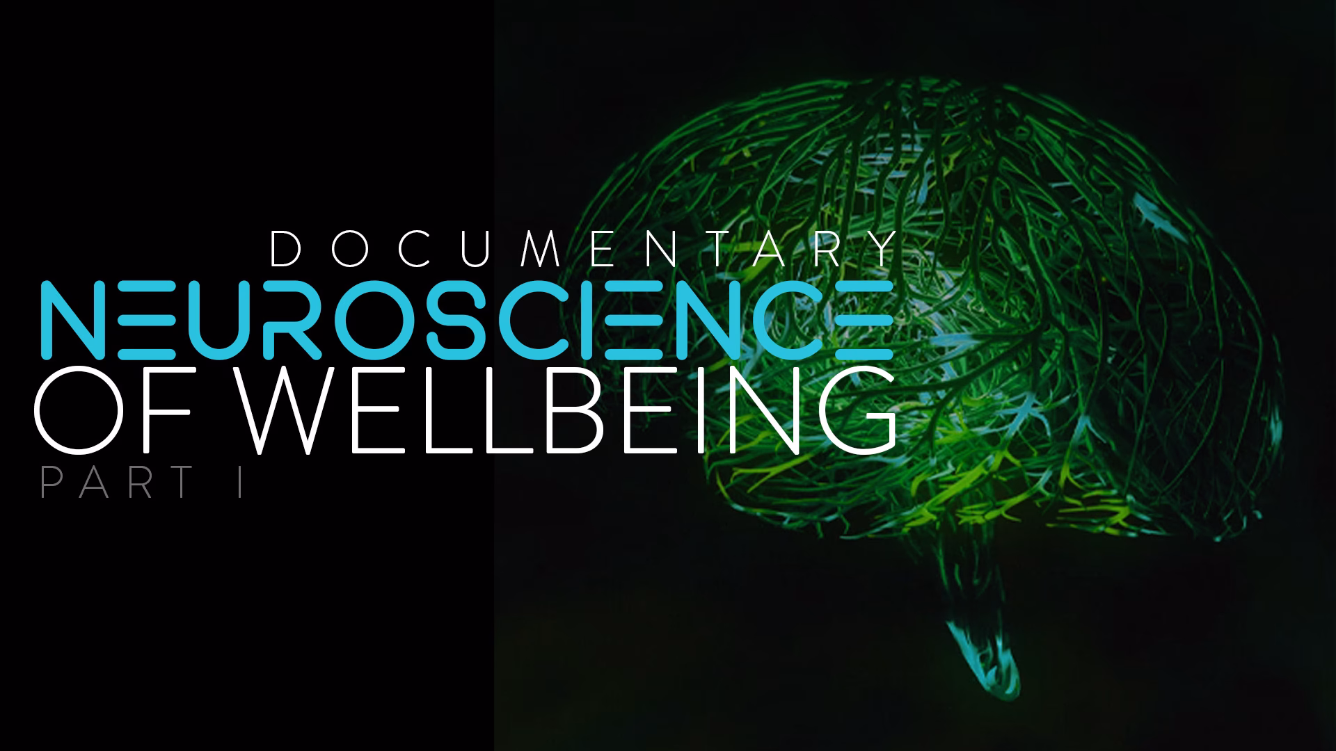 What are the 5 areas of wellbeing?