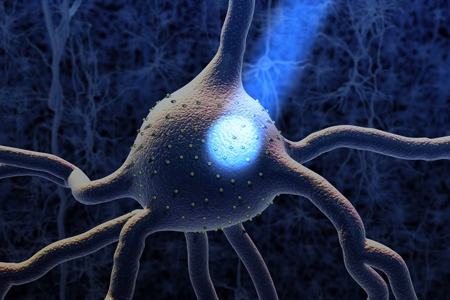 What is optogenetic approaches in neuroscience?