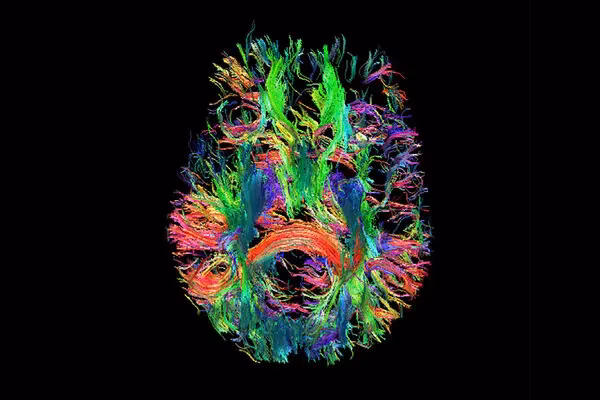 What are 5 types of careers in photography?