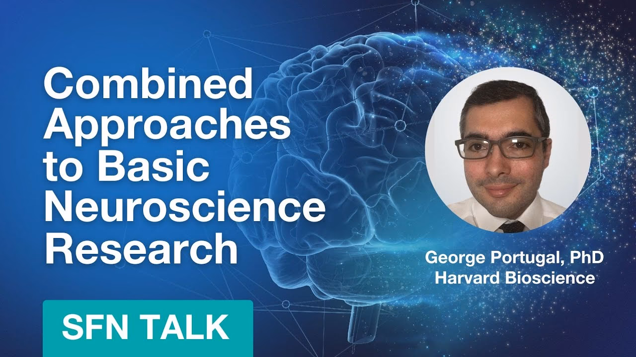 Is Portugal good for studies?