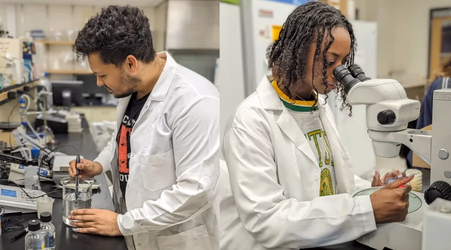 At what GPA should I do a post bacc?